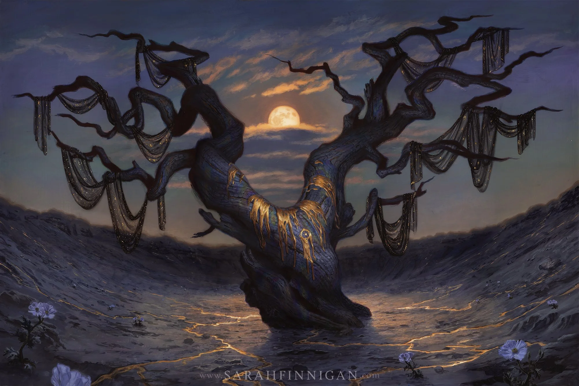 AFR Forest MtG Artist Proof — Sarah Finnigan Art